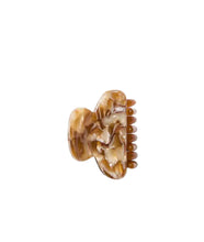 Mini Heirloom Claw- Baja Tortoise