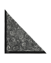 The Stetson Western Paisley Scarf- Black