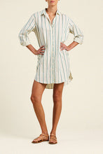 Callie Dress- Verde Stripes