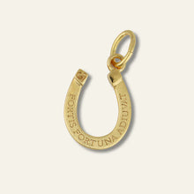 The Dainty Necklace- Small Fortuna Horseshoe Charm