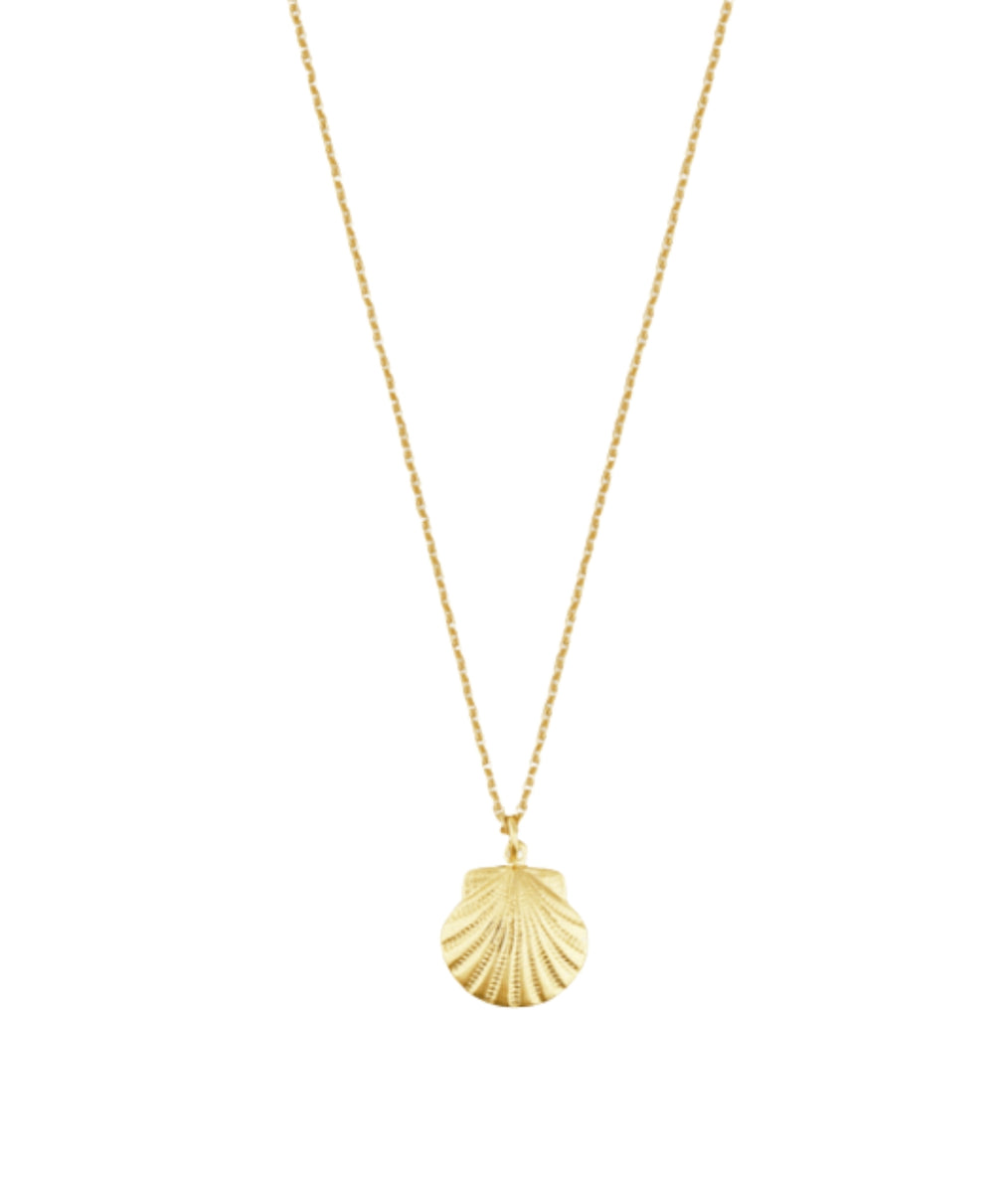 The Dainty Necklace- Gold Scallop Shell Charm
