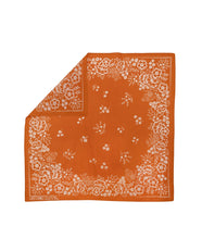 Cotton Field Bandana- Terra