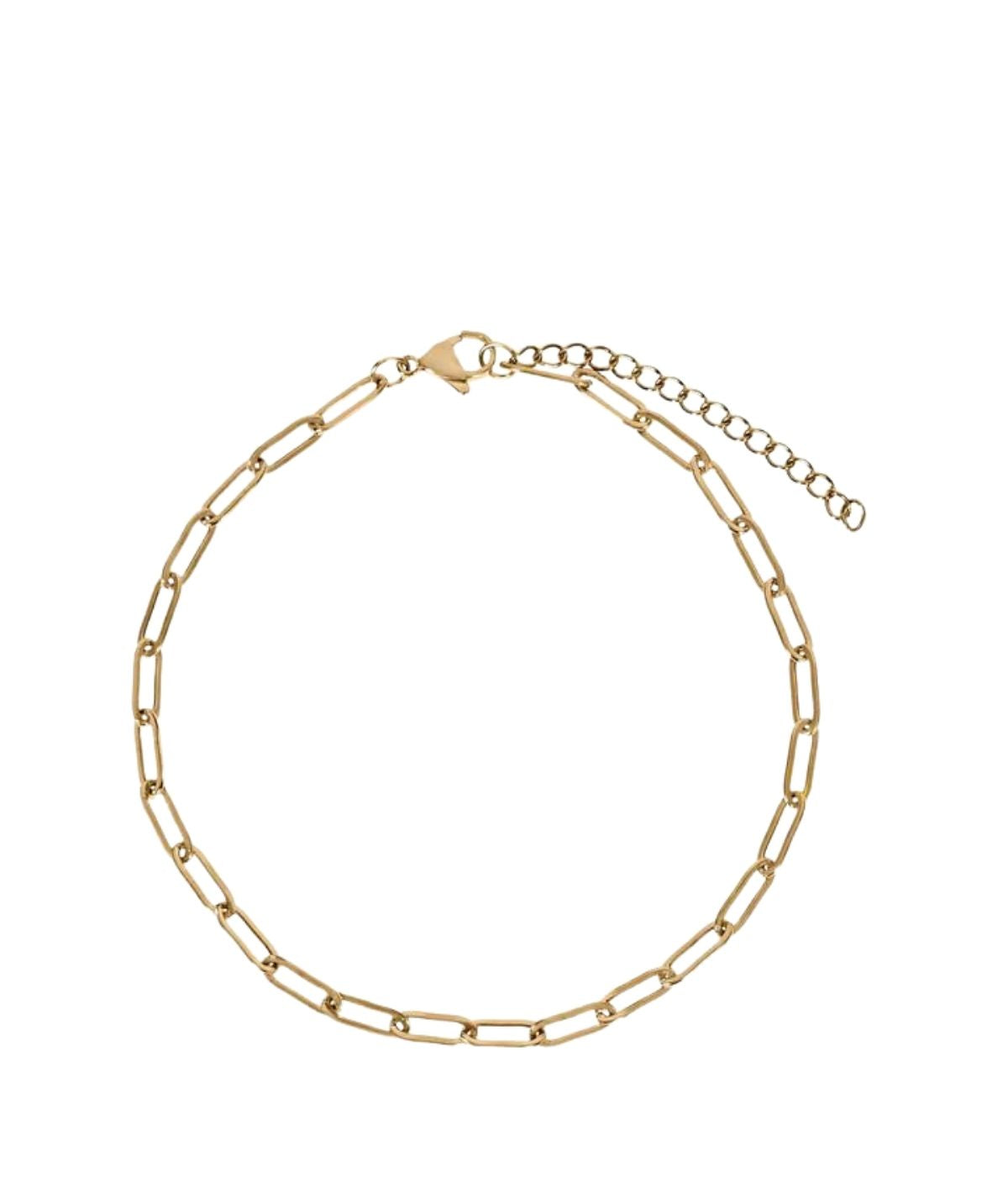 Ilana Oval Chain Anklet